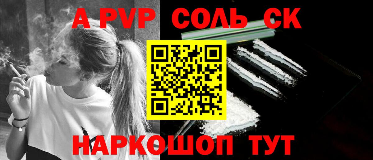 A PVP СК Кузнецк