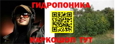 гидра Кинель